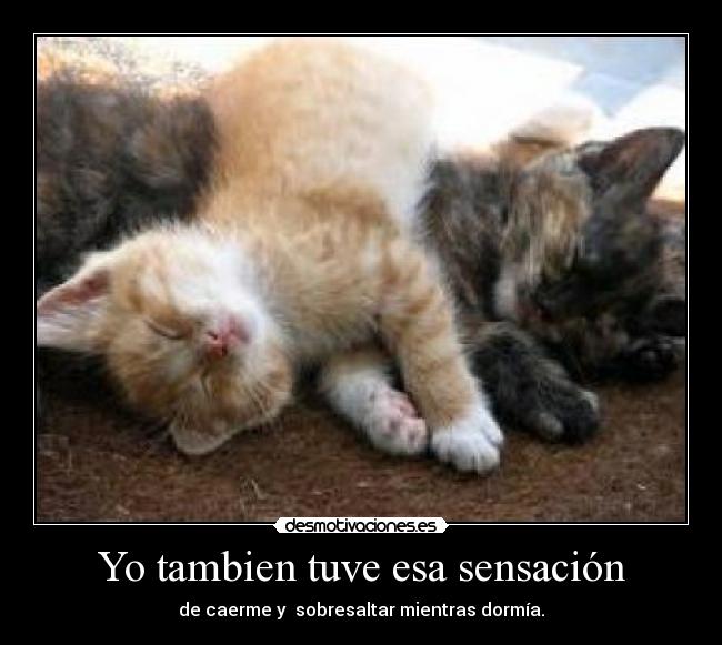 carteles ferpi56 desmotivaciones