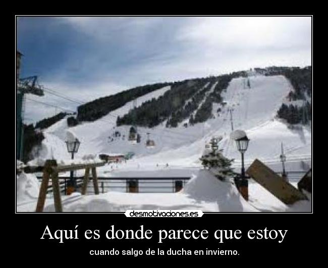 Aquí es donde parece que estoy - 