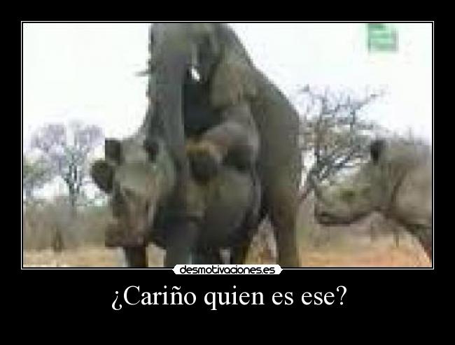 ¿Cariño quien es ese? - 