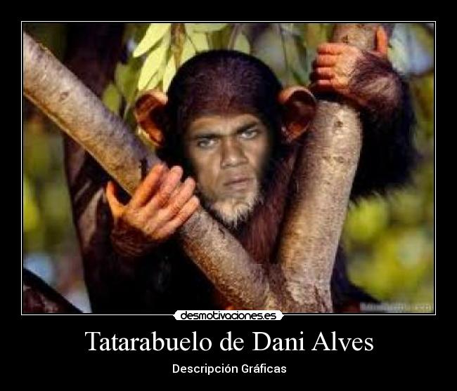 Tatarabuelo de Dani Alves - Descripción Gráficas