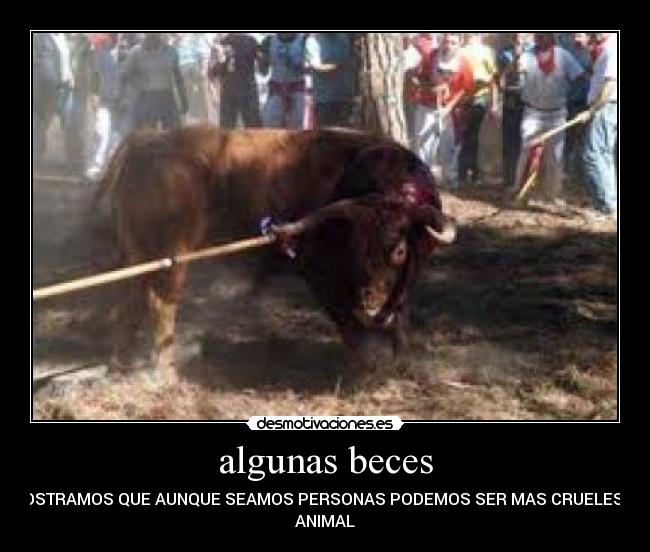 algunas beces - DEMOSTRAMOS QUE AUNQUE SEAMOS PERSONAS PODEMOS SER MAS CRUELES Q UN
ANIMAL