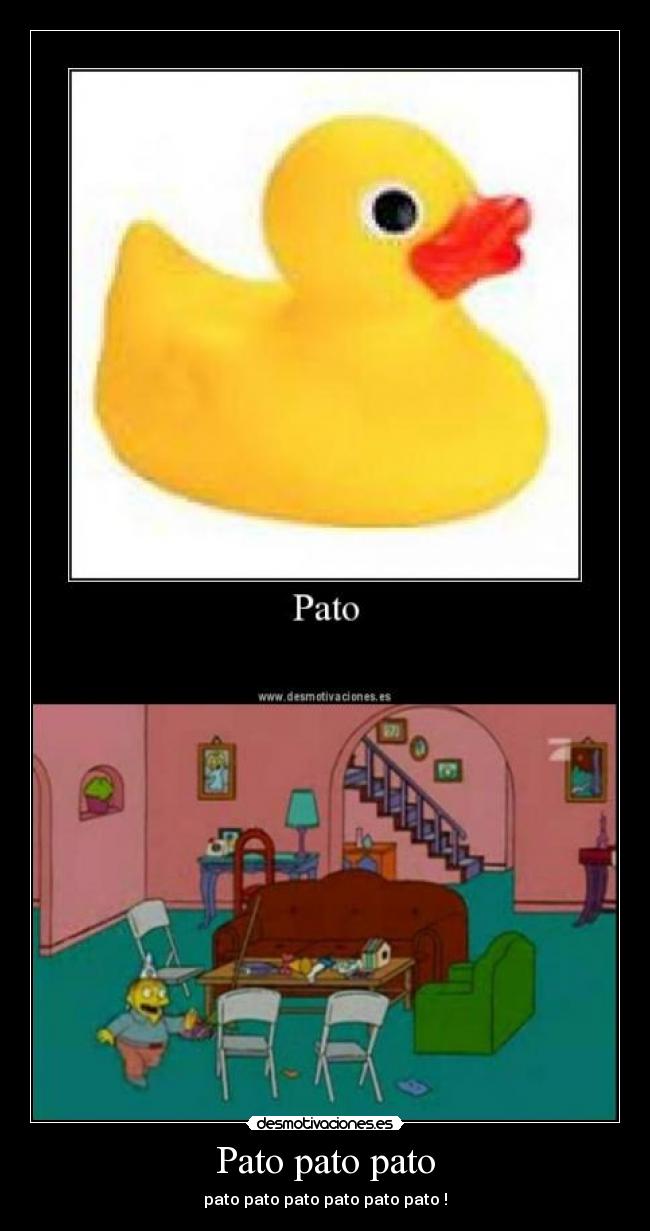 Pato pato pato - 