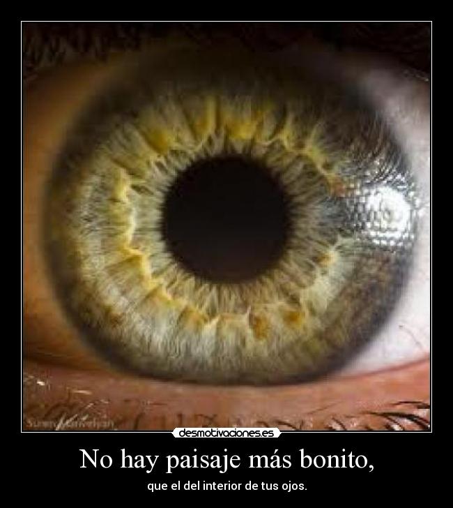 No hay paisaje más bonito, - 