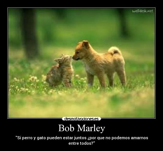 Bob Marley - Si perro y gato pueden estar juntos ¿por que no podemos amarnos entre todos?