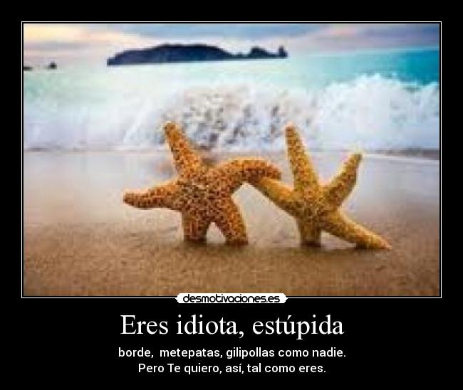 Lista 92+ Foto A Ti Lo Que Te Pasa Es Que Eres Gilipolla Mirada Tensa Lista 92+ Foto A Ti Lo Que Te Pasa Es Que Eres Gilipolla Mirada Tensa