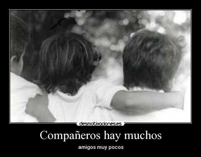 Compañeros hay muchos - amigos muy pocos