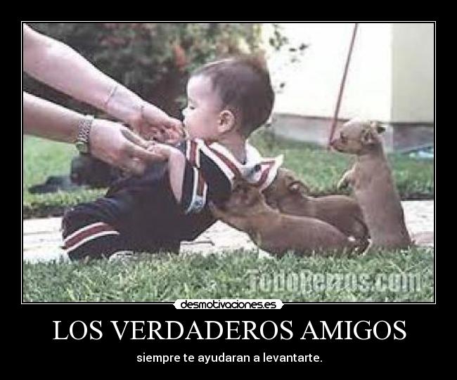LOS VERDADEROS AMIGOS - siempre te ayudaran a levantarte.