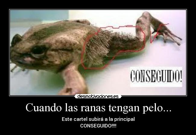 Cuando las ranas tengan pelo... -