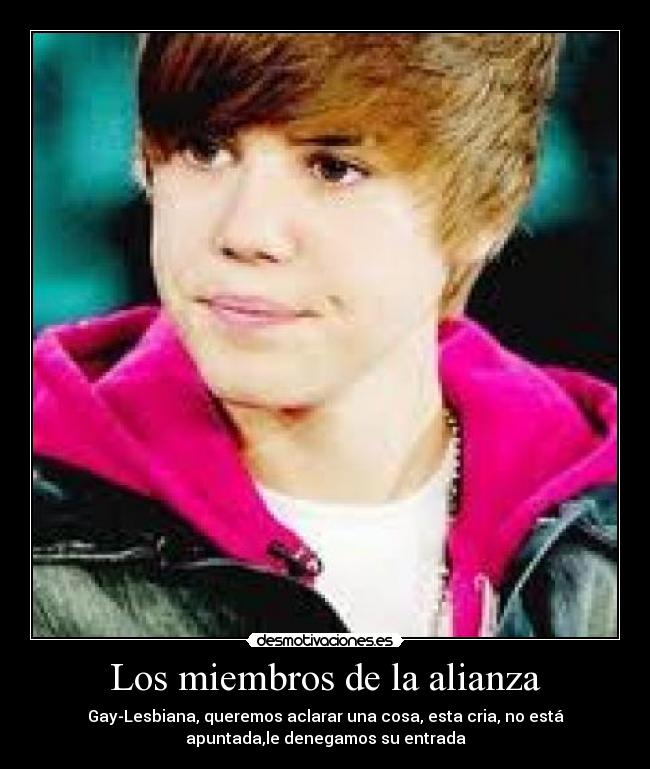 Los miembros de la alianza -