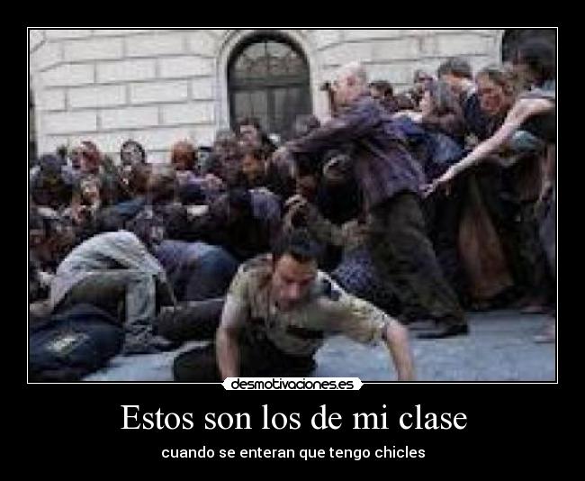 Estos son los de mi clase -