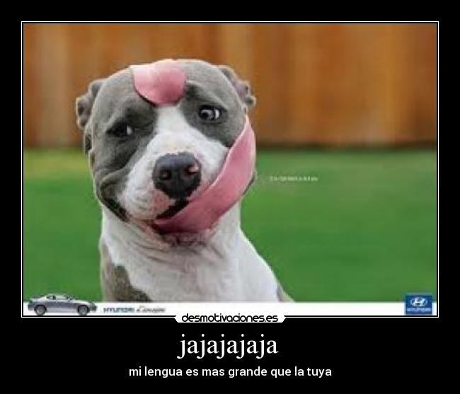 jajajajaja - mi lengua es mas grande que la tuya