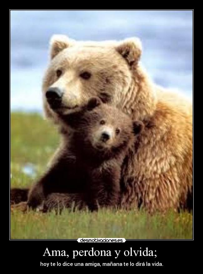 Ama, perdona y olvida; -