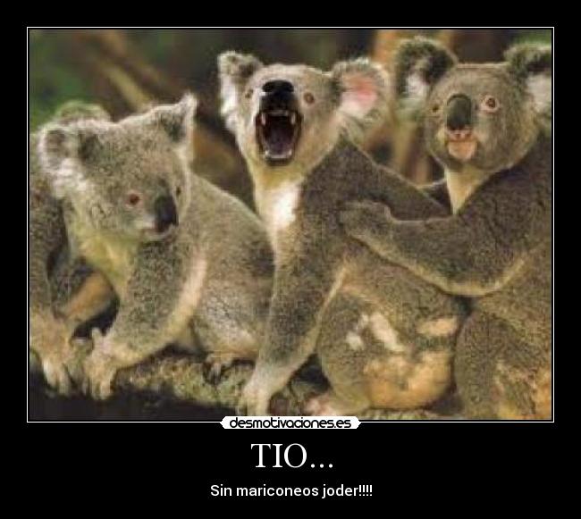 TIO... - Sin mariconeos joder!!!!
