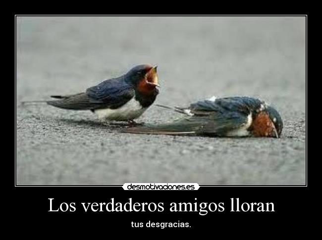 Los verdaderos amigos lloran -