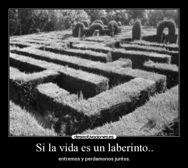 carteles vida you desmotivaciones