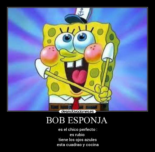 BOB ESPONJA  - es el chico perfecto :
es rubio 
tiene los ojos azules
esta cuadrao y cocina