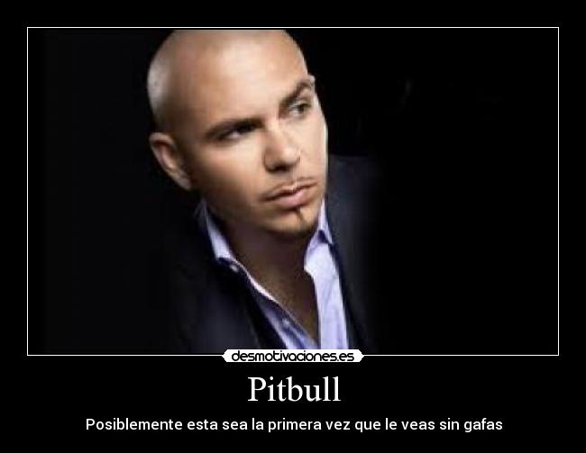 Pitbull - Posiblemente esta sea la primera vez que le veas sin gafas