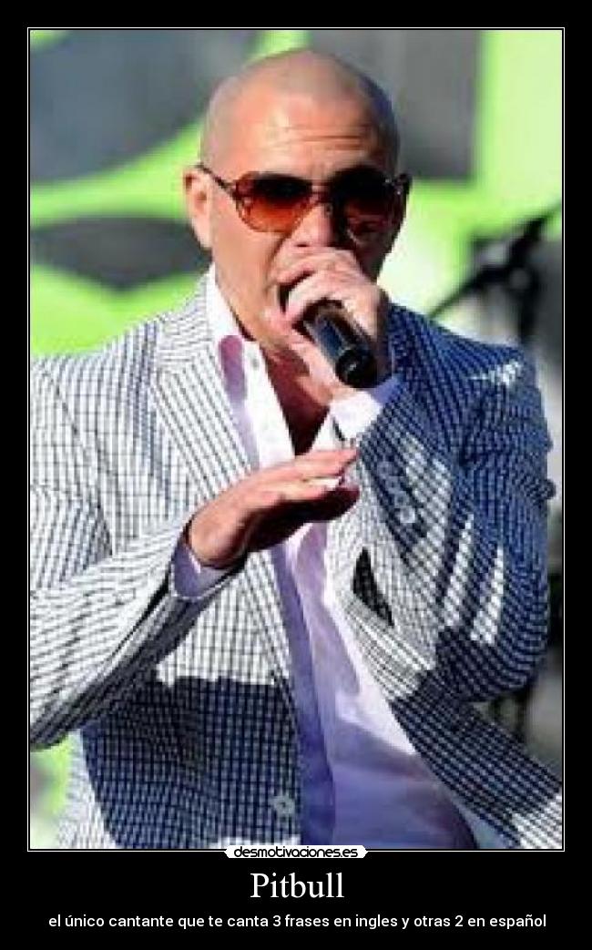 Pitbull -