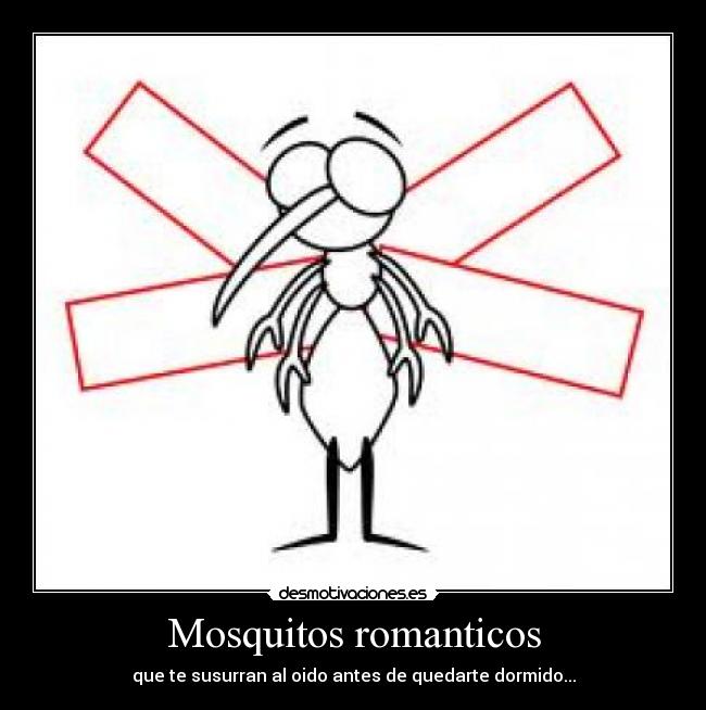 Mosquitos romanticos -