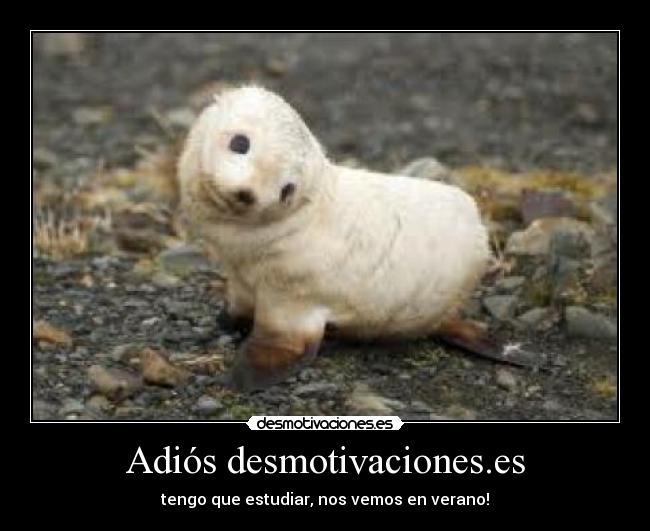 Adiós desmotivaciones.es - 