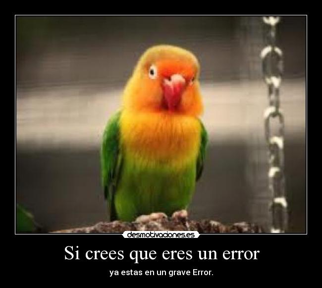 Si crees que eres un error - 