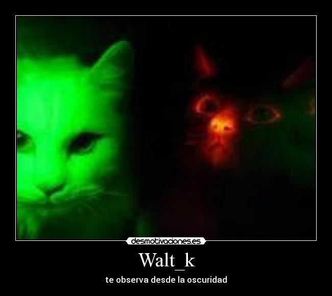 Walt_k -