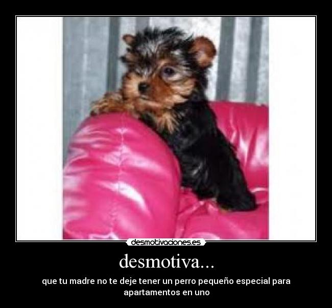 desmotiva... - 
