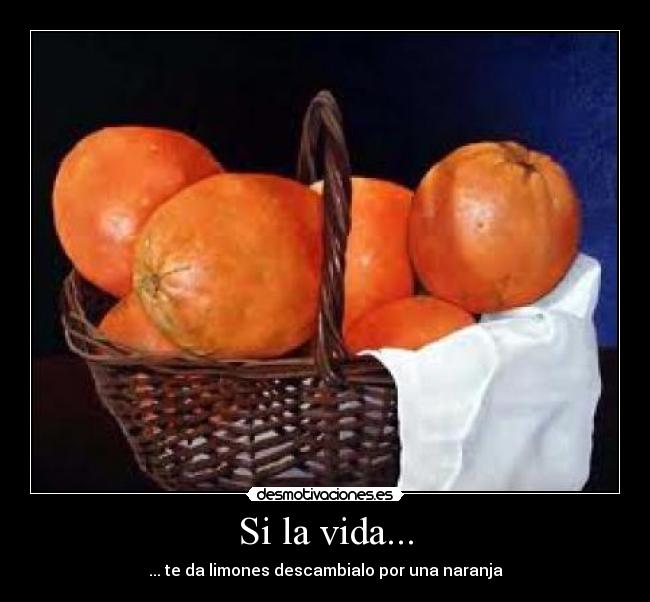 carteles vida poeta desmotivaciones