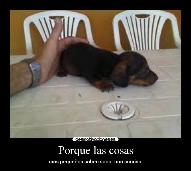 Porque las cosas - más pequeñas saben sacar una sonrisa.