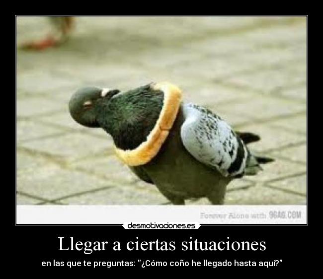 Llegar a ciertas situaciones - en las que te preguntas: ¿Cómo coño he llegado hasta aquí?