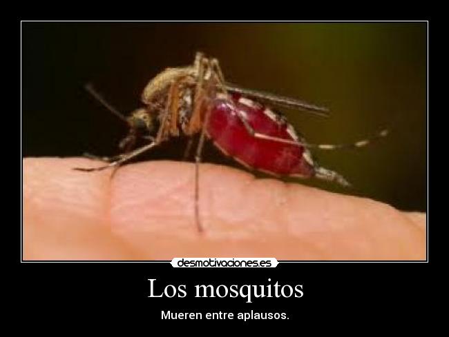 Los mosquitos -
