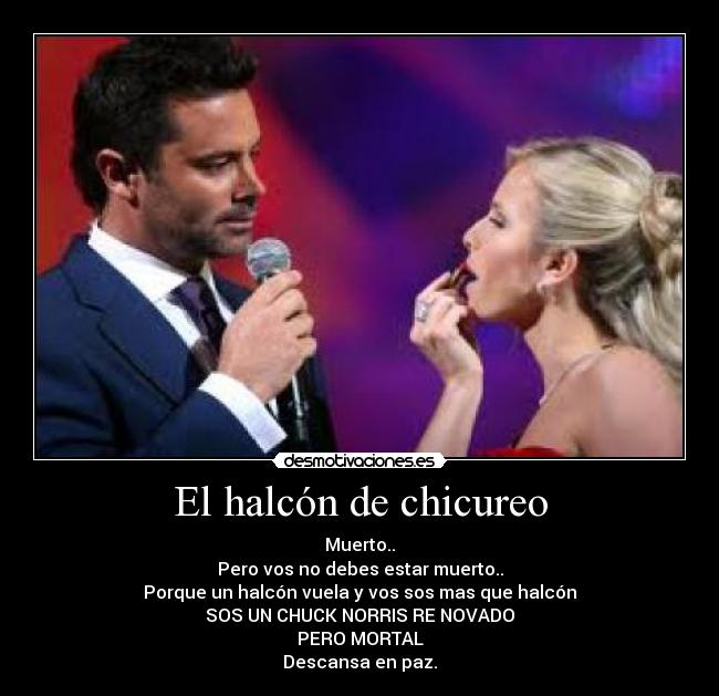 carteles chile festival vina mundo desmotivaciones