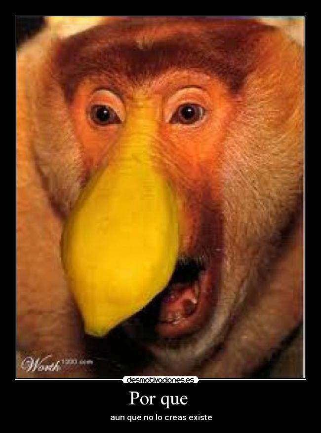 Por que - aun que no lo creas existe