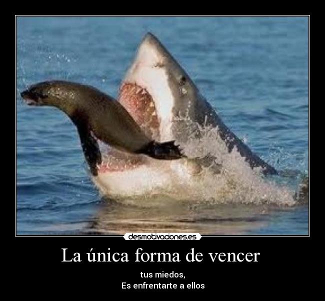 La única forma de vencer - tus miedos,
Es enfrentarte a ellos