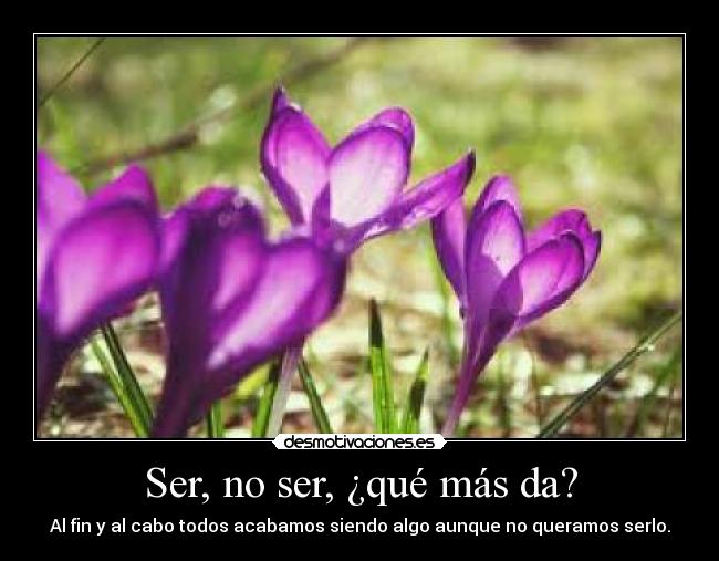 Ser, no ser, ¿qué más da? - 