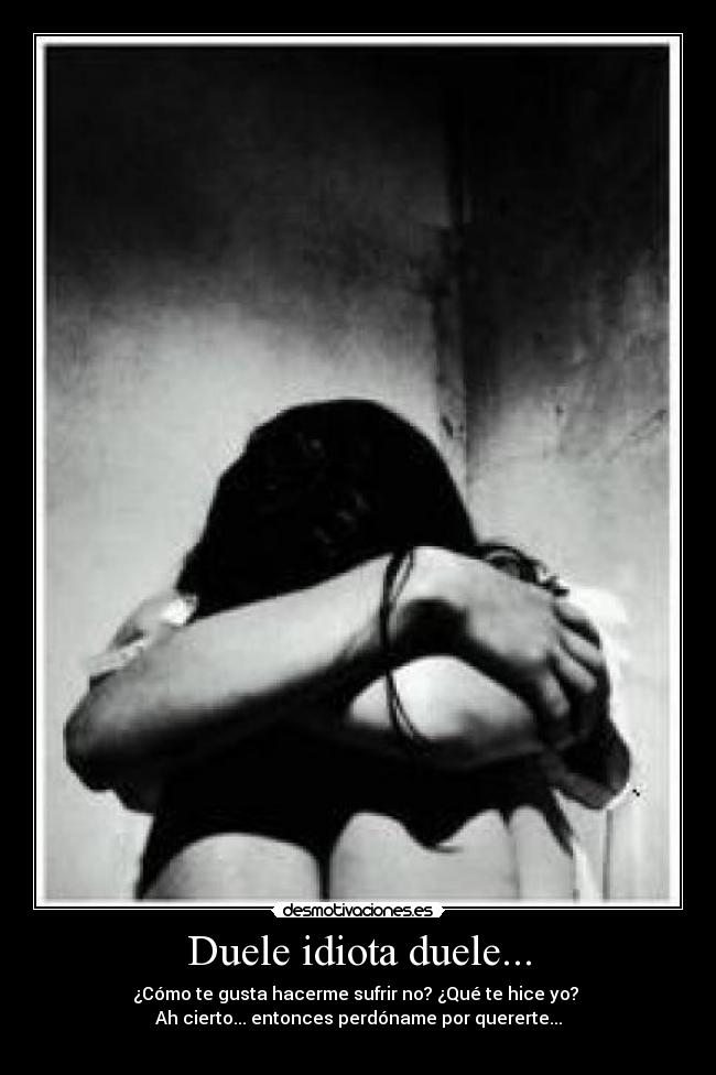 Duele idiota duele... - 
