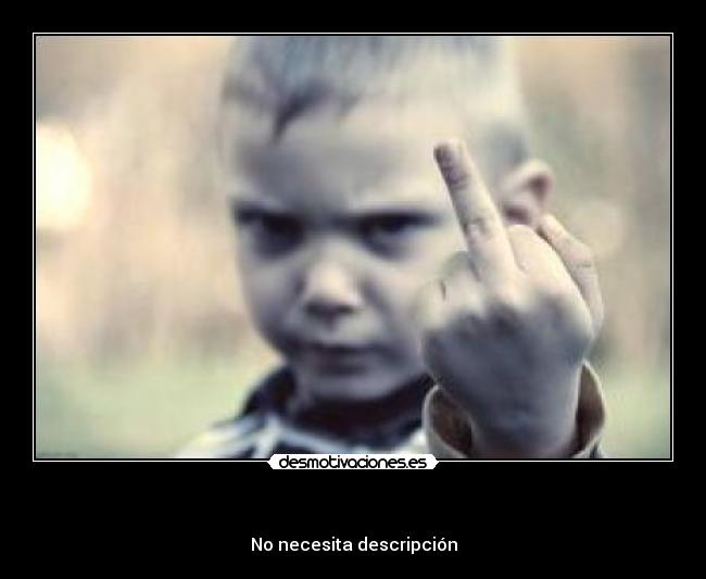 - No necesita descripción