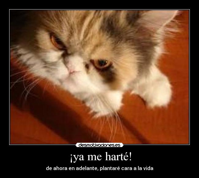 ¡ya me harté! - de ahora en adelante, plantaré cara a la vida
