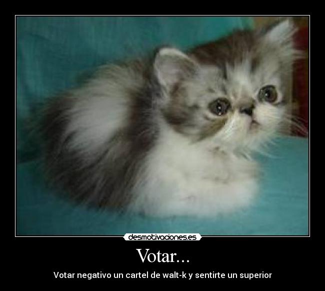 Votar... - 