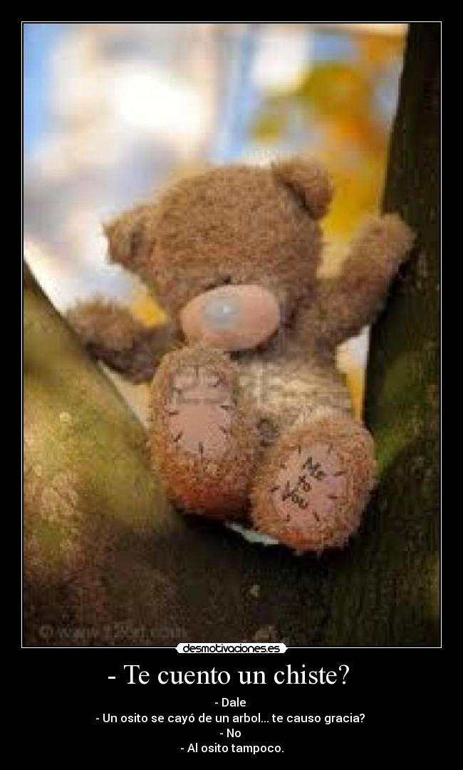 - Te cuento un chiste? - - Dale
- Un osito se cayó de un arbol... te causo gracia?
- No
- Al osito tampoco.