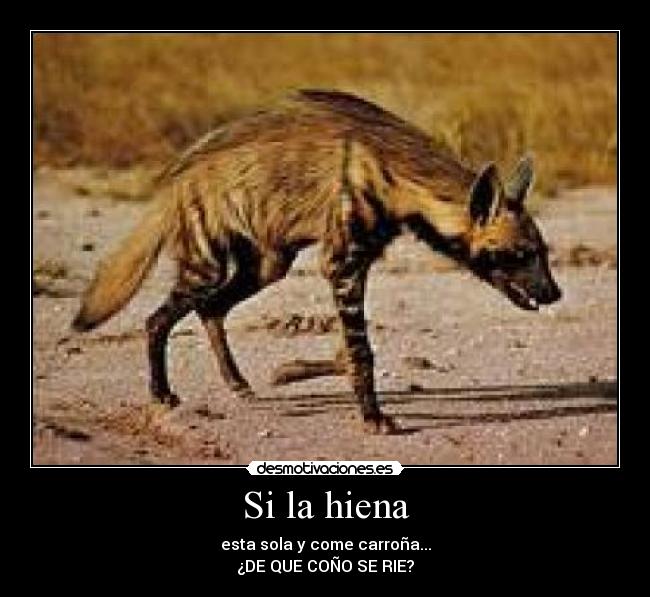 Si la hiena -
