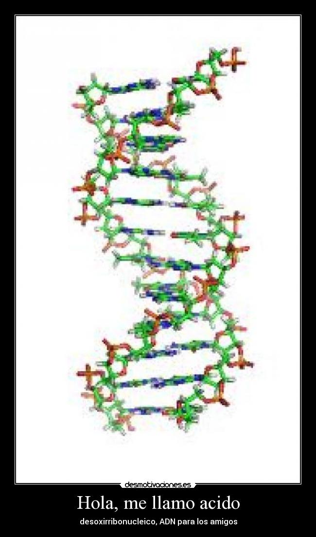 carteles valla mierda cartel peroe stoy sin idead desmotivaciones