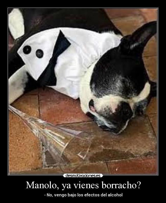 Manolo, ya vienes borracho? -