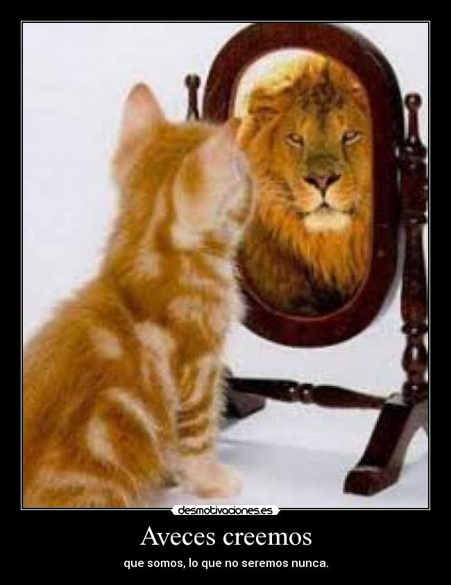 Aveces creemos - 