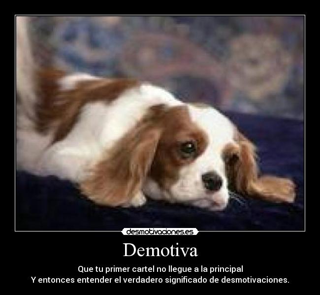 carteles perro desmotivaciones desmotivaciones