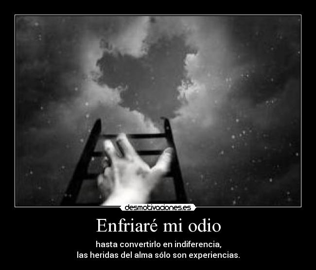 Enfriaré mi odio -