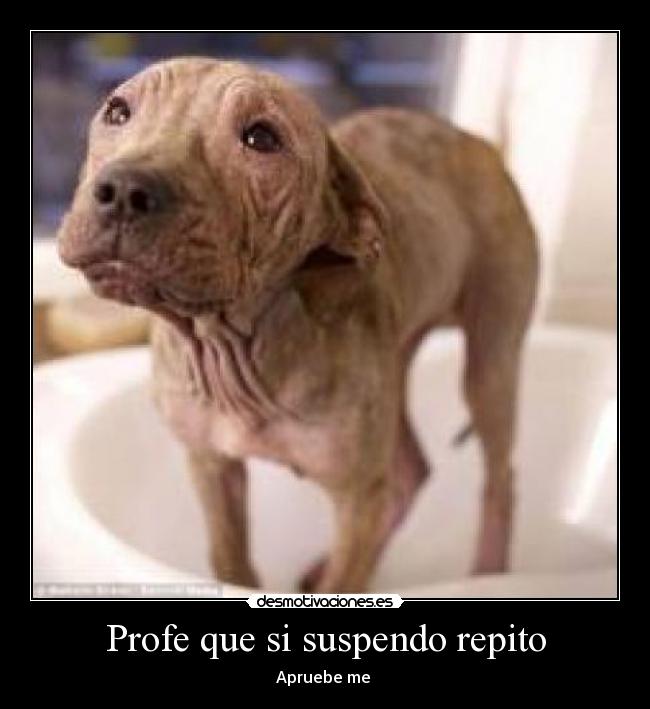 Profe que si suspendo repito - Apruebe me 