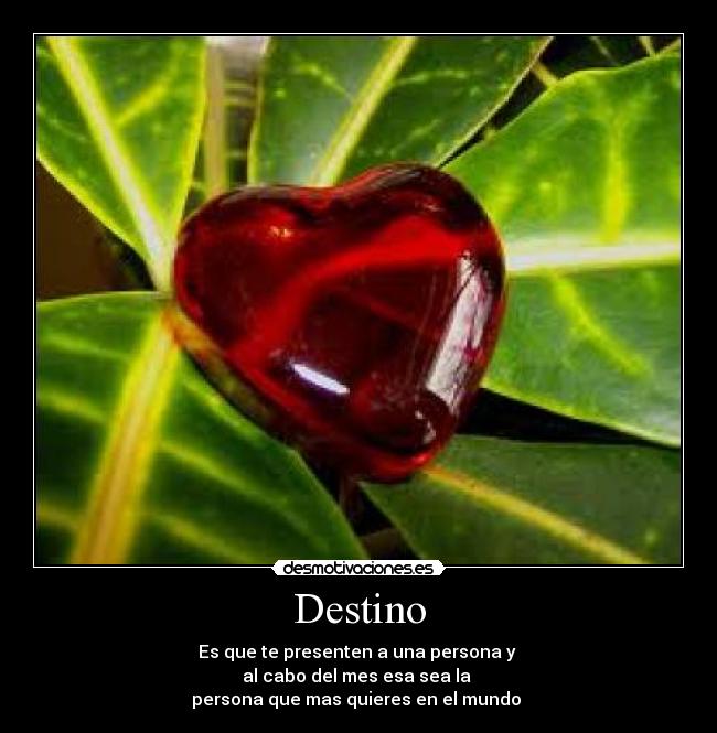 Destino - Es que te presenten a una persona y
al cabo del mes esa sea la
persona que mas quieres en el mundo