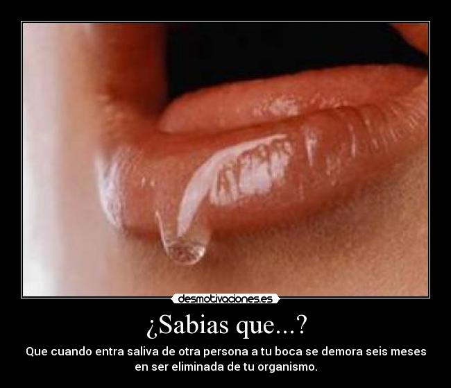 ¿Sabias que...? - 