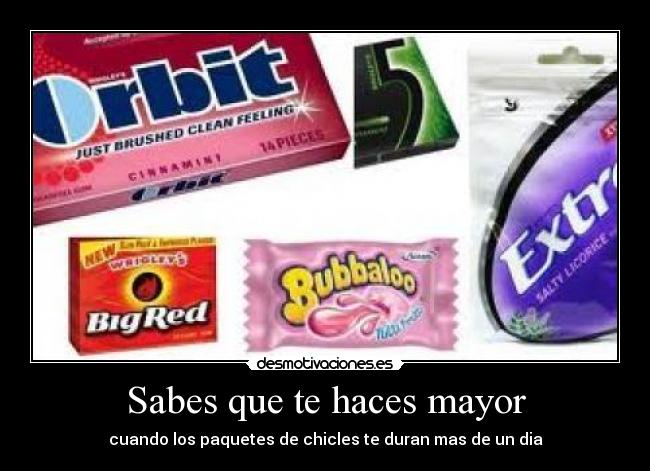 carteles elenita_rubia rauliyo97 mirihh alroso 1996 desmotivaciones